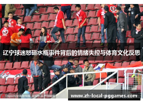 辽宁球迷怒砸水瓶事件背后的情绪失控与体育文化反思