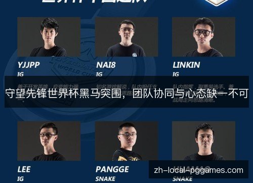 守望先锋世界杯黑马突围,团队协同与心态缺一不可 守望先锋世界杯黑马突围,团队协同与心态缺一不可